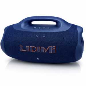 LIDIMI LD-S890 Super 300W